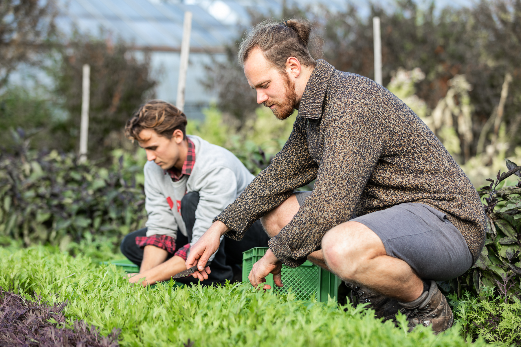 Max Hien und Finn Bargmann bei der Arbeit