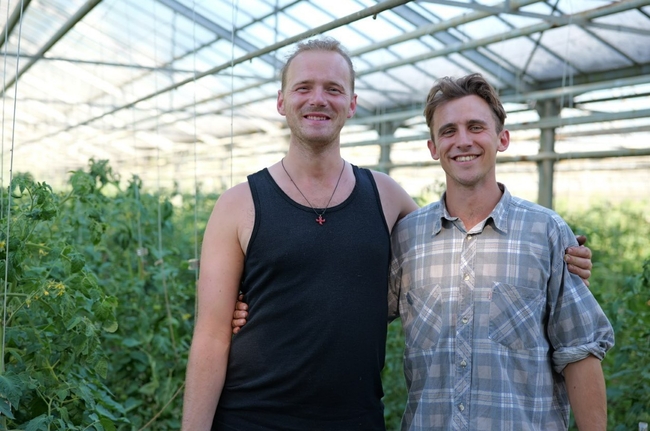 Max Hien und Finn Bargmann in ihrem Gewächshaus